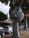 Alchimie2009_35