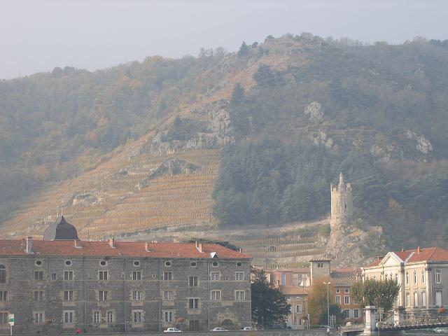 11030003.jpg