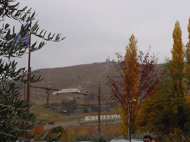 DSC00043.JPG