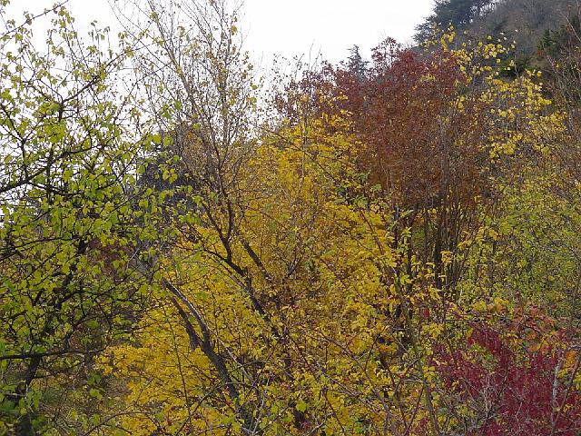 DSC00099.JPG