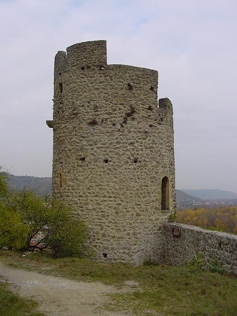 DSC00101.jpg