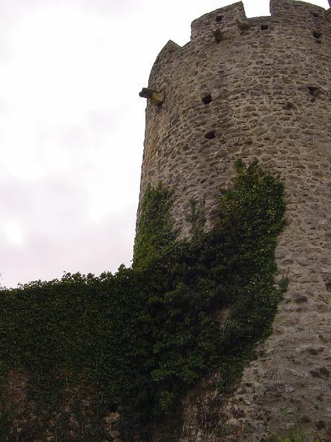 DSC00102.jpg