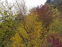 DSC00099