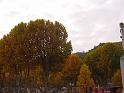 DSC00106